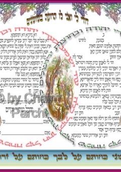 Ketubah 2 Circles